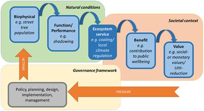 Priorities and barriers for urban ecosystem service provision: A comparison of stakeholder perspectives from three cities